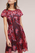 Rosa Lace Dress